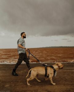 محسن افشانی و سگش در ساحل