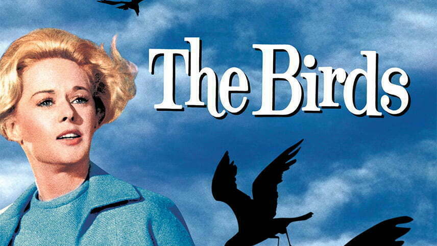فیلم پرندگان The Birds
