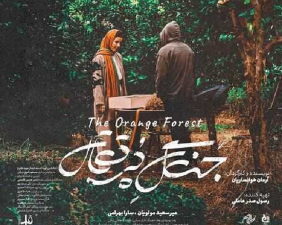 جنگل پرتقال از فیلم های چهل و یکمین جشنواره فیلم فجر