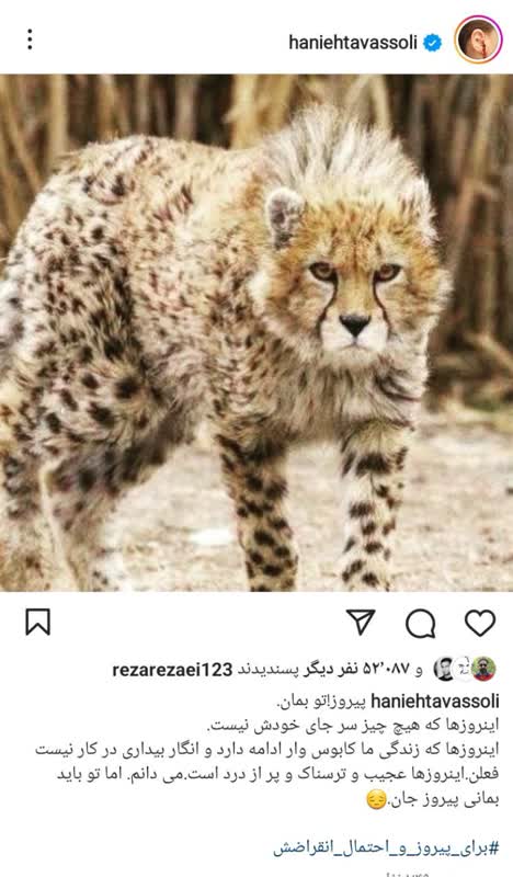 نگرانی هانیه توسلی برای این حیوان زیبا سوژه شد